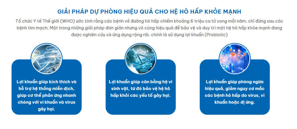 Cơ chế tác động của bào tử lợi khuẩn trong sản phẩm Leavah Biorinse Spray đối với hệ hô hấp