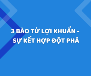 3 bào tử lợi khuẩn trong một chế phẩm - Sự kết hợp độc đáo