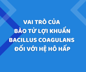 Vai trò của bào tử lợi khuẩn Bacillus Coagulans đối với hệ hô hấp