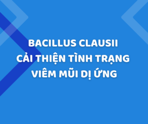 Bacillus clausii cải thiện tình trạng viêm mũi dị ứng